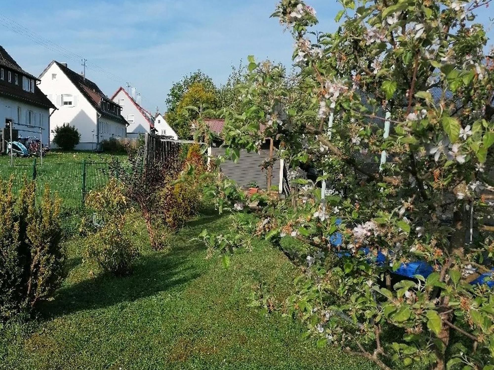 Ferienwohnung Kirsch-Kern Mössingen Exteriér fotografie