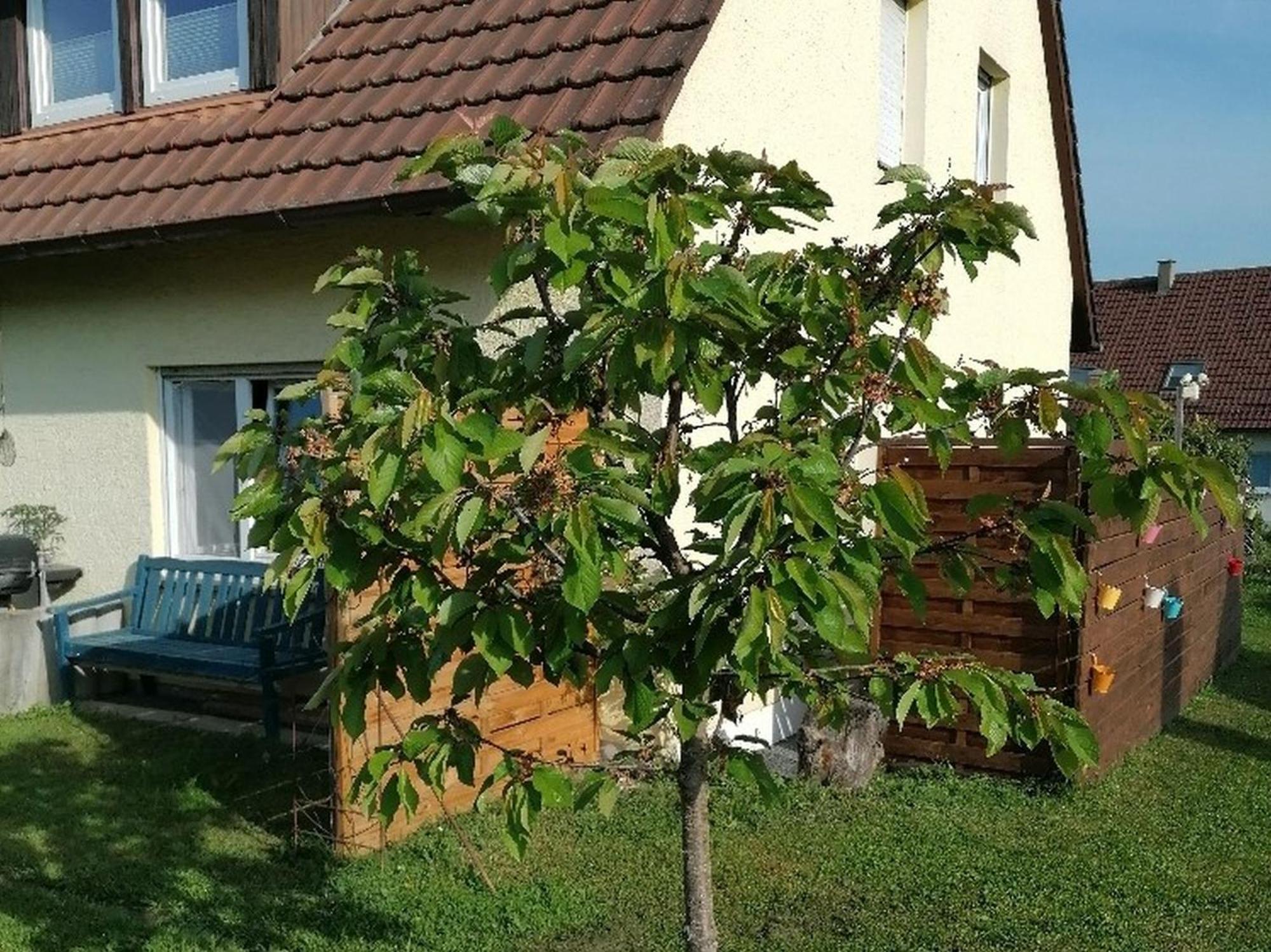 Ferienwohnung Kirsch-Kern Mössingen Exteriér fotografie